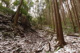 大和 山田岩掛城の写真