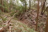 大和 山田岩掛城の写真