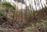 大和 山田岩掛城の写真