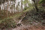 大和 山田岩掛城の写真