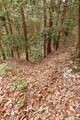 大和 山田岩掛城の写真