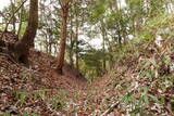 大和 山田岩掛城の写真