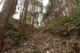 大和 山田岩掛城の写真