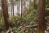 大和 山田岩掛城の写真