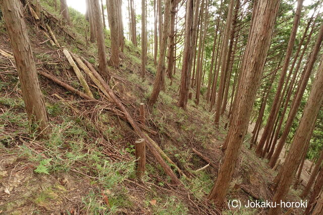 大和 山口城の写真