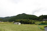 大和 山口城の写真