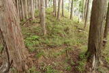 大和 山口城の写真