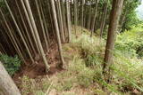 大和 山口城の写真