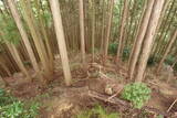 大和 山口城の写真