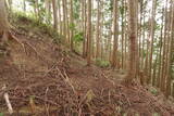 大和 山口城の写真