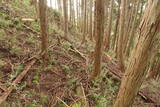 大和 山口城の写真