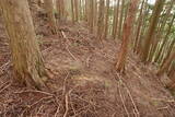 大和 山口城の写真