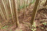 大和 山口城の写真