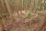 大和 山口城の写真