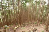 大和 山口城の写真
