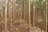 大和 山口城の写真
