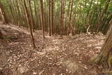 大和 山口城の写真