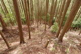大和 山口城の写真