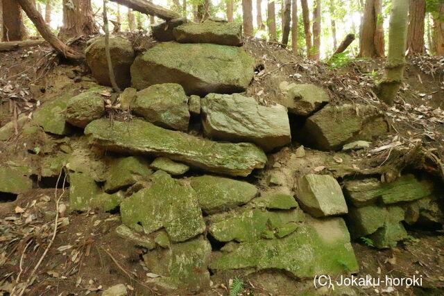 大和 畑城(山添村)の写真