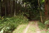 大和 畑城(山添村)の写真