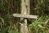 大和 畑城(山添村)の写真