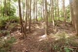 大和 畑城(山添村)の写真