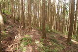 大和 畑城(山添村)の写真