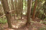 大和 畑城(山添村)の写真