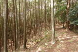 大和 畑城(山添村)の写真