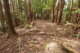 大和 畑城(山添村)の写真