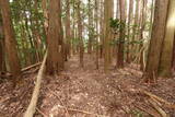 大和 畑城(山添村)の写真