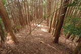 大和 畑城(山添村)の写真