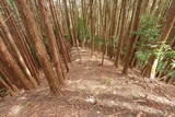 大和 畑城(山添村)の写真