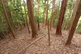 大和 畑城(山添村)の写真