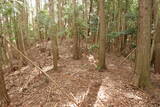 大和 畑城(山添村)の写真