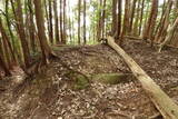 大和 畑城(山添村)の写真