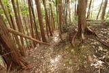 大和 畑城(山添村)の写真