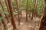 大和 畑城(山添村)の写真