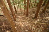 大和 畑城(山添村)の写真
