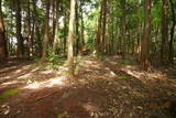 大和 畑城(山添村)の写真