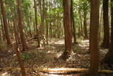 大和 畑城(山添村)の写真