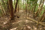大和 畑城(山添村)の写真