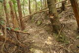 大和 畑城(山添村)の写真