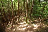 大和 畑城(山添村)の写真