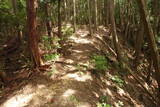 大和 畑城(山添村)の写真