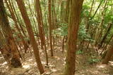 大和 畑城(山添村)の写真