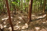 大和 畑城(山添村)の写真