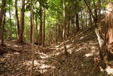 大和 畑城(山添村)の写真