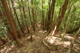 大和 畑城(山添村)の写真