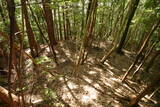 大和 畑城(山添村)の写真